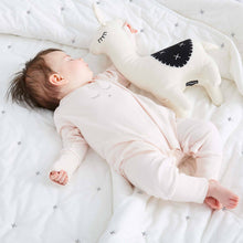 Load image into Gallery viewer, Baby Quilt