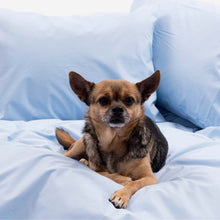 Load image into Gallery viewer, Classic Fitted Sheet - Last Call