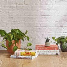 Load image into Gallery viewer, Haworthia Zebra in Mini Ezra Planter

