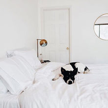 Load image into Gallery viewer, Luxe Split King Sheet Set
