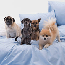 Load image into Gallery viewer, Luxe Fitted Sheet - Last Call
